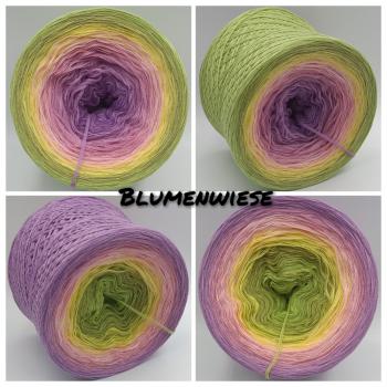 (ab 0,016€/Meter) Blumenwiese