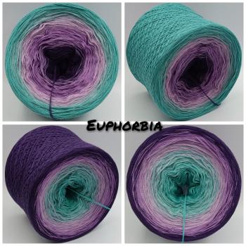 (ab 0,011€/Meter) Euphorbia