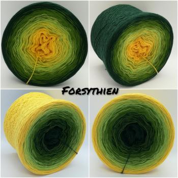 (ab 0,011€/Meter) Forsythien