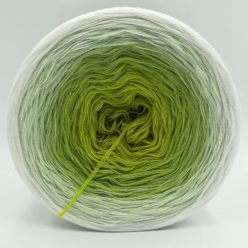 Preview: (ab 0,011€/Meter) Laubfrosch