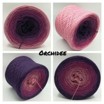 (ab 0,011€/Meter) Orchidee