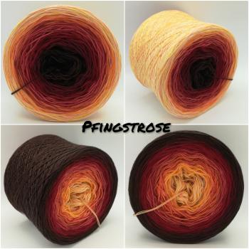 (ab 0,016€/Meter) Pfingstrose