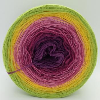 Preview: (ab 0,011€/Meter) Teerose