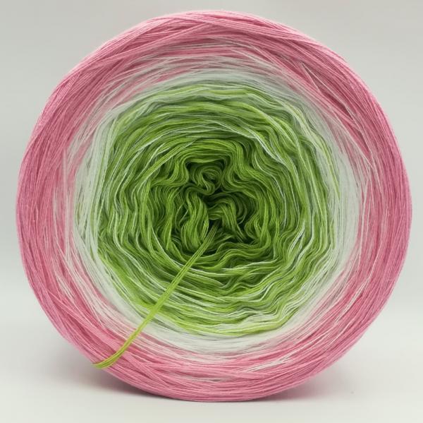 (ab 0,011€/Meter) Apfelblüte