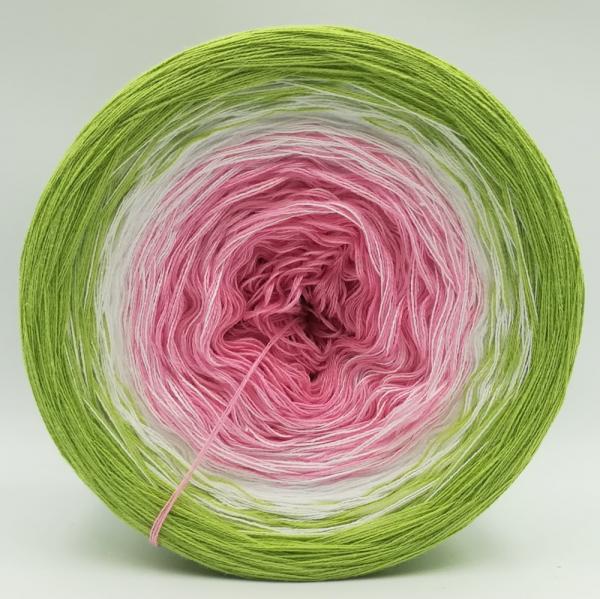 (ab 0,011€/Meter) Apfelblüte