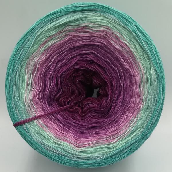 (ab 0,016€/Meter) Aurora