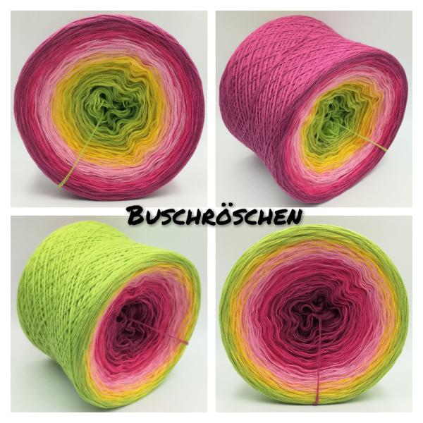 (ab 0,011€/Meter) Buschröschen