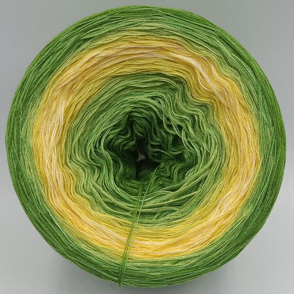 (ab 0,016€/Meter) *B* Butterblume M+G