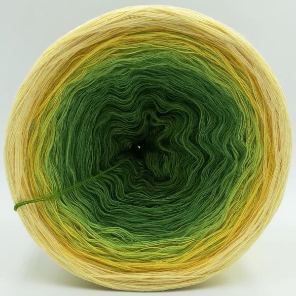 (ab 0,011€/Meter) Butterblume