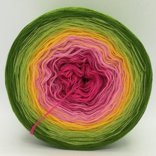 (ab 0,011€/Meter) Dahlie