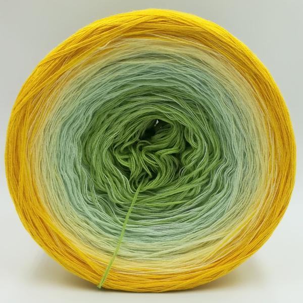 (ab 0,011€/Meter) Ennis