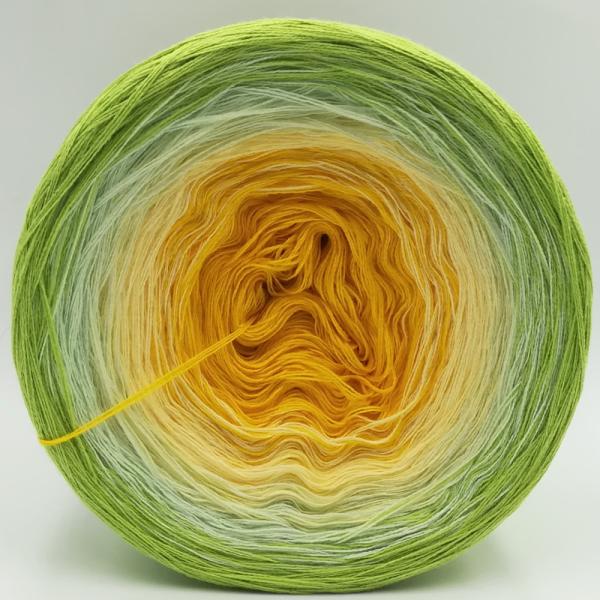 (ab 0,011€/Meter) Ennis