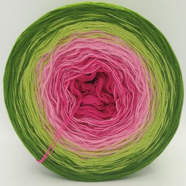 (ab 0,011€/Meter) Erdbeerfeld