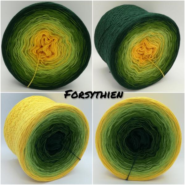 (ab 0,011€/Meter) Forsythien