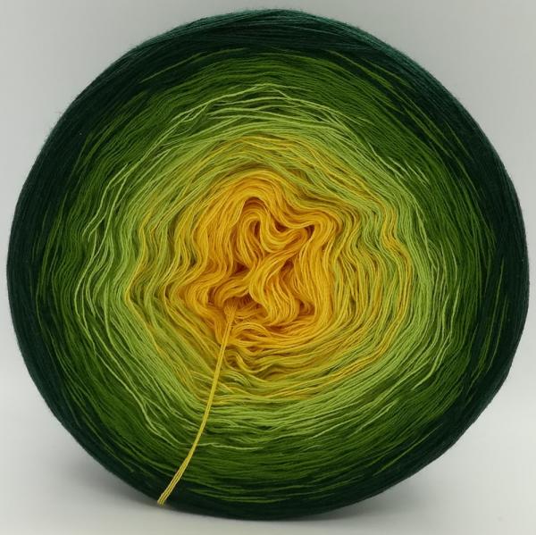 (ab 0,011€/Meter) Forsythien