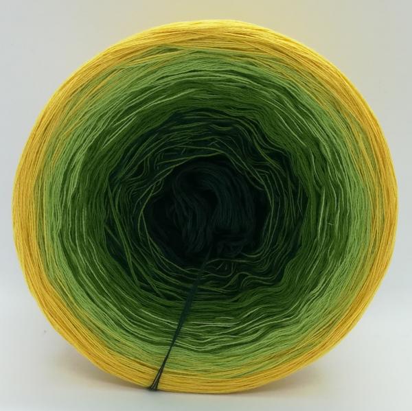 (ab 0,011€/Meter) Forsythien