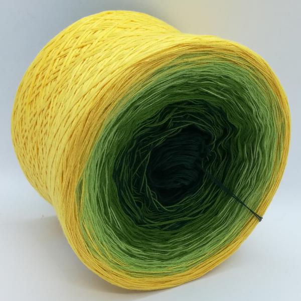 (ab 0,011€/Meter) Forsythien