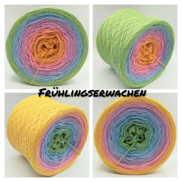 (ab 0,016€/Meter) Frühlingserwachen