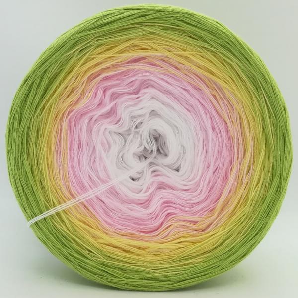 (ab 0,011€/Meter) Gänseblümchen