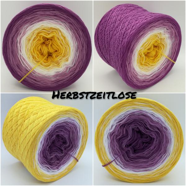 (ab 0,011€/Meter) Herbstzeitlose