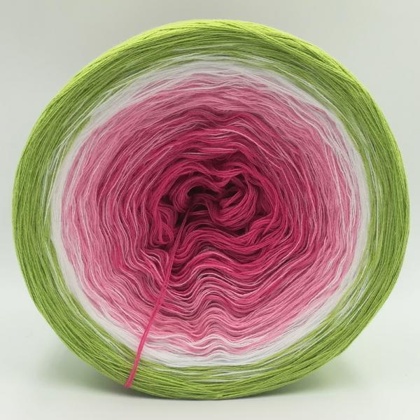 (ab 0,011€/Meter) Kirschblüte