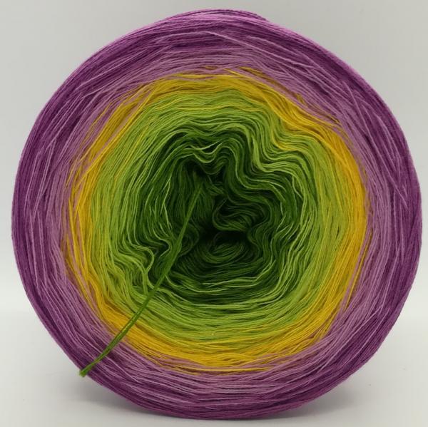 (ab 0,011€/Meter) Krokus