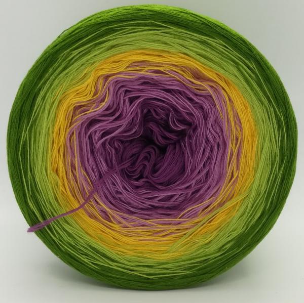 (ab 0,011€/Meter) Krokus