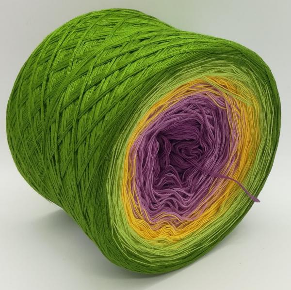 (ab 0,011€/Meter) Krokus