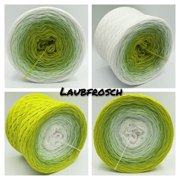 (ab 0,011€/Meter) Laubfrosch