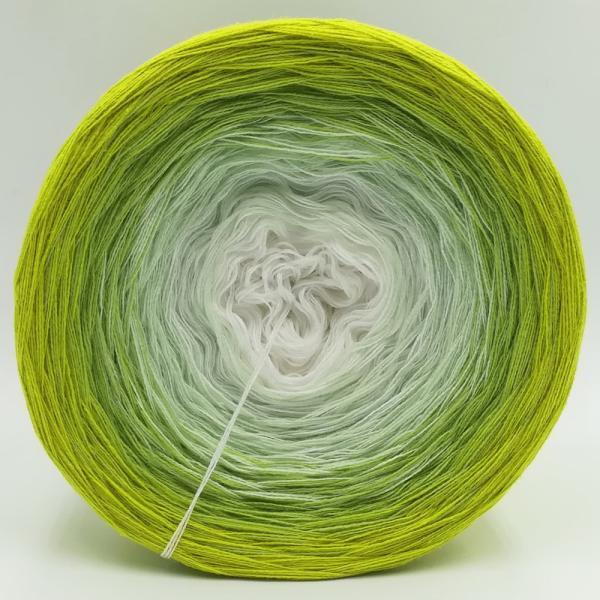 (ab 0,011€/Meter) Laubfrosch