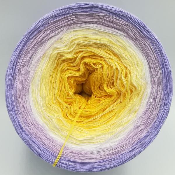 (ab 0,011€/Meter) Lavendelhonig