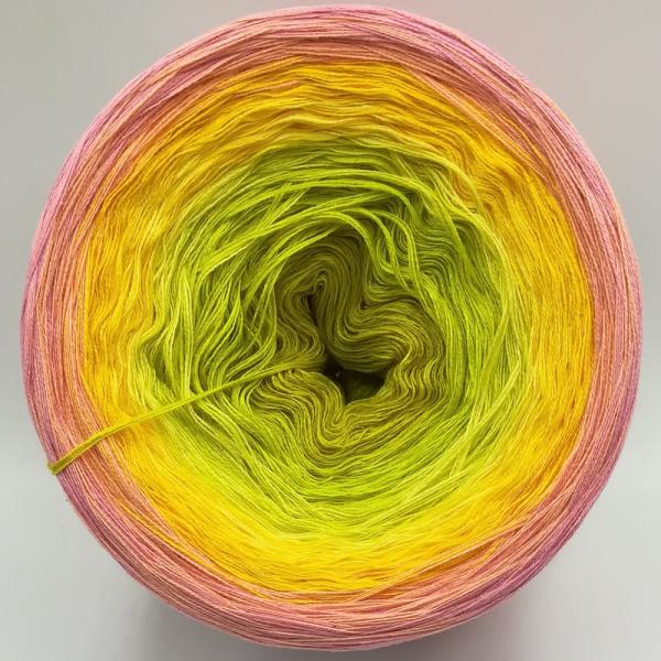 (ab 0,016€/Meter) Lisbeth