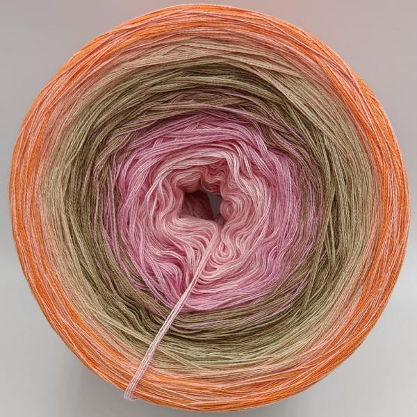 (ab 0,016€/Meter) Orangen-Törtchen