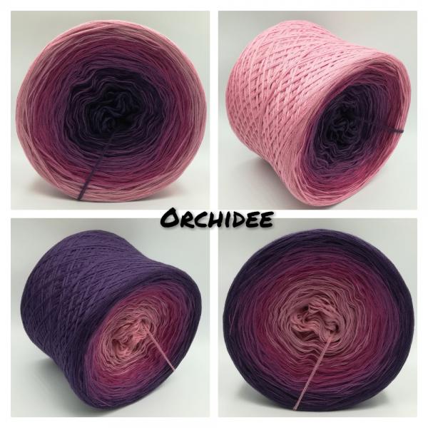 (ab 0,011€/Meter) Orchidee