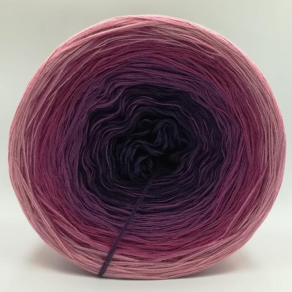 (ab 0,011€/Meter) Orchidee