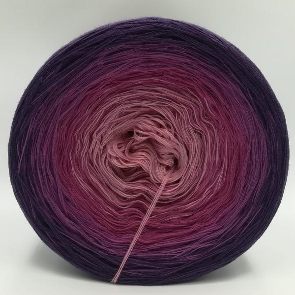 (ab 0,011€/Meter) Orchidee