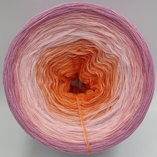 (ab 0,016€/Meter) Prudence