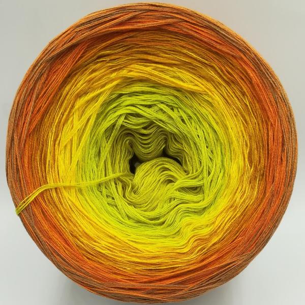 (ab 0,016€/Meter) Safari