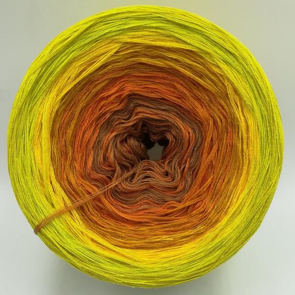 (ab 0,016€/Meter) Safari