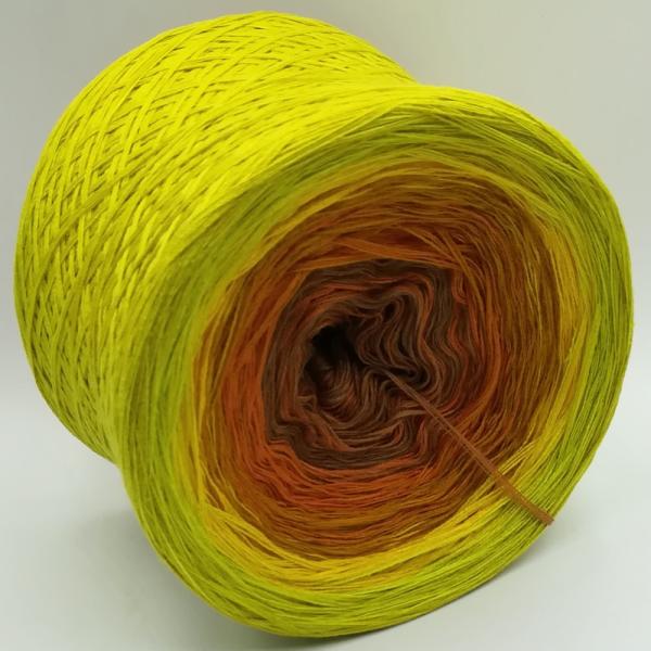 (ab 0,016€/Meter) Safari