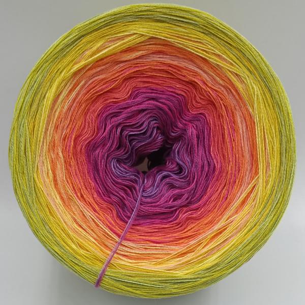 (ab 0,016€/Meter) Scarlett