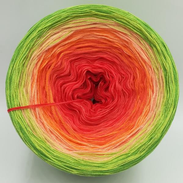 (ab 0,016€/Meter) Shioban