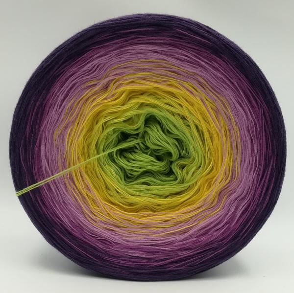 (ab 0,011€/Meter) Stiefmütterchen