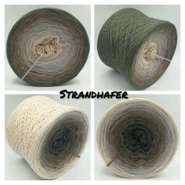 (ab 0,011€/Meter) Strandhafer