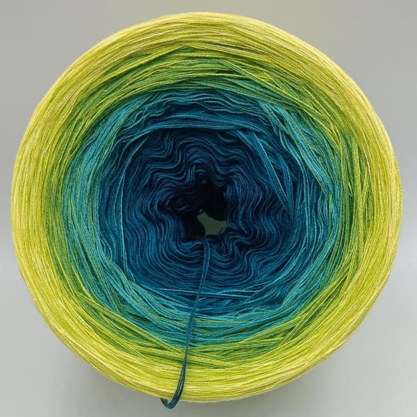 (ab 0,016€/Meter) Sumpflichter