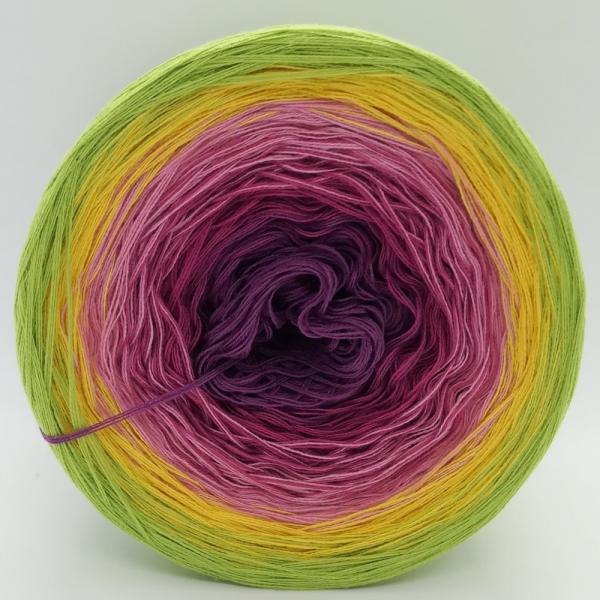 (ab 0,011€/Meter) Teerose